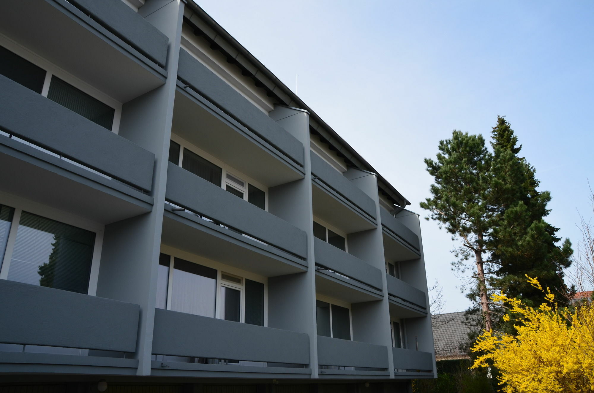 Neu Heidelberg - Guesthouse & Apartments Exterior foto